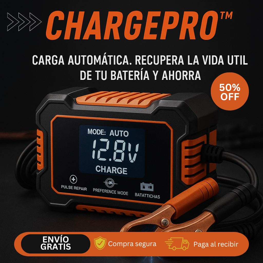 Cargador Bateria Carro Moto 12v Pantalla